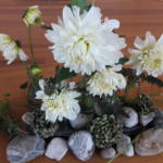 Bloemstuk 22 september 2019. Vredeszondag: Witte dahlia’s boven stenen en uitgebloeide bloemen. Vrede wordt zichtbaar in verschillende vormen  van nieuw leven.